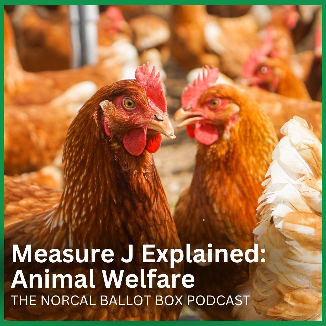 Environmental Implications 