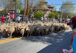 Redwood Empire Food Bank