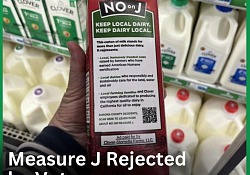 Measure J Environmental Implications THE NORCAL BALLOT BOX PODCAST