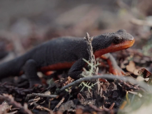 Redwood Empire Food Bank